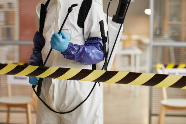 Professional Biohazard technician working in Port Gamble, WA